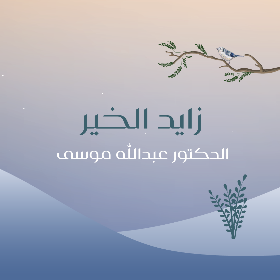 زايد الخير