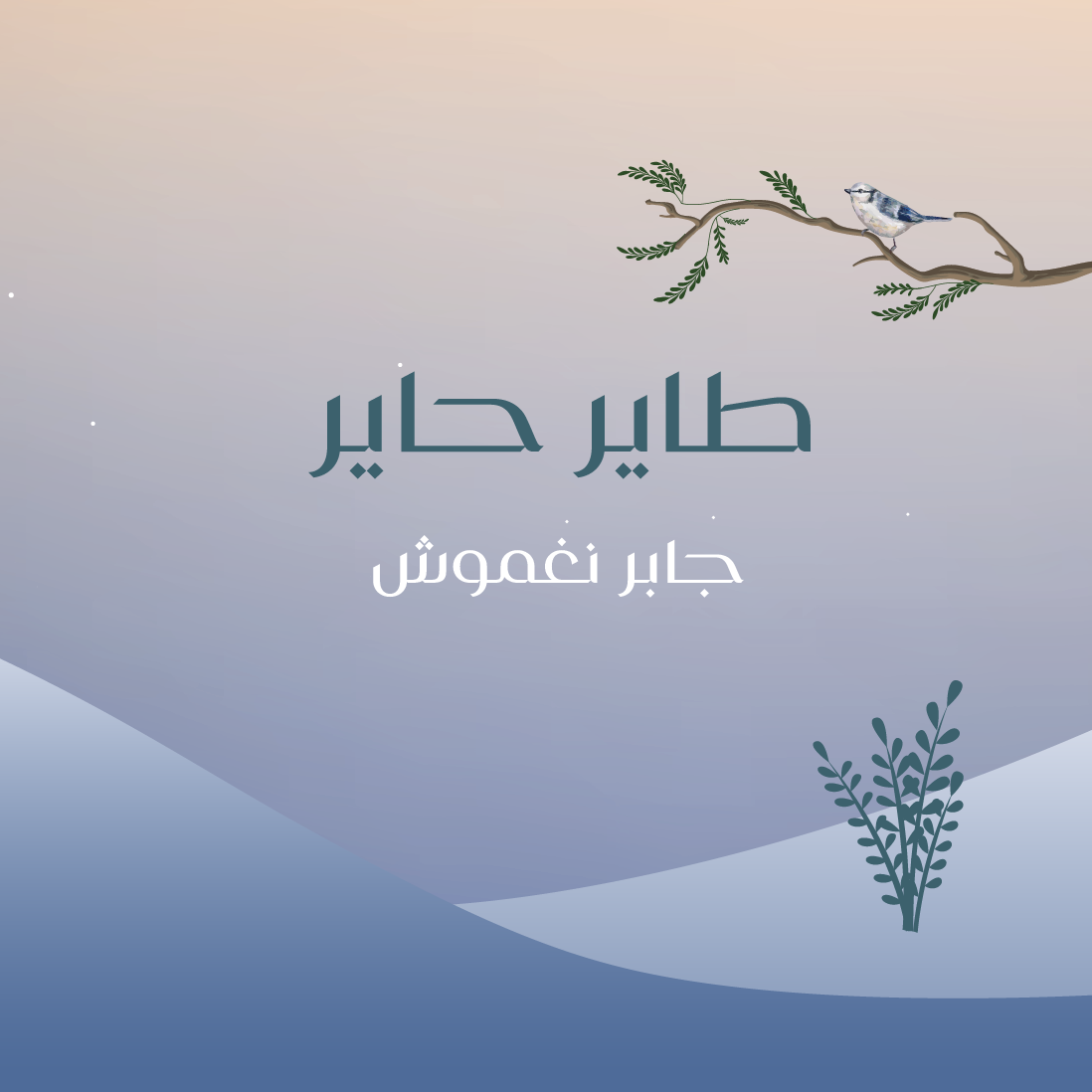 طاير حاير
